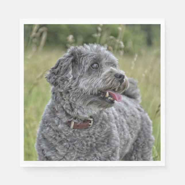 Cute Terrier Dog Napkin (Front)