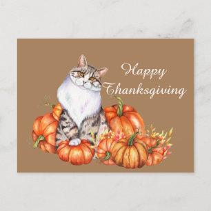 cute Thanksgiving cat add text Holiday Postcard