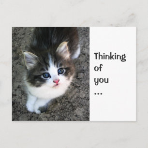 CUTE "Thinking of you" Customisable Personalizable Postcard