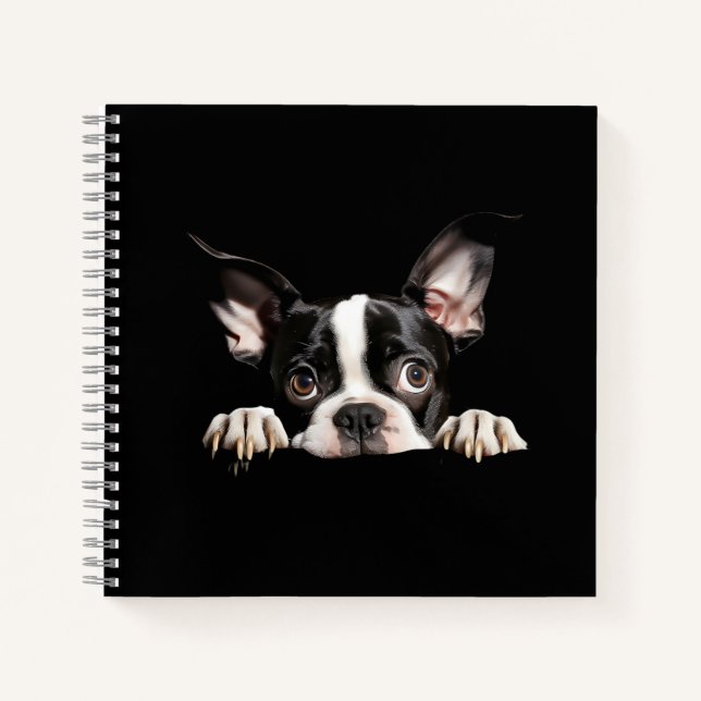 Cute Thoughtful Boston Terrier Puppy Notebook (Front)
