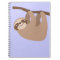 Cute Three-Toed Sloth