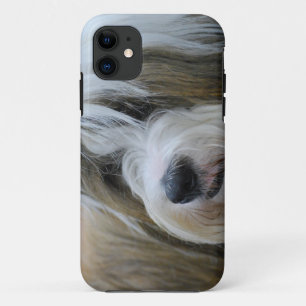 Cute Tibetan Terrier Dog Case-Mate iPhone Case