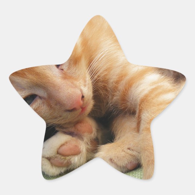 Cute Tiger Stripe Kitten Star Sticker (Front)