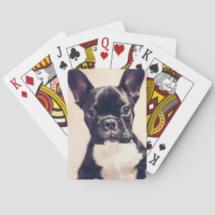 Cute Tiny Black and White Puppy Playing Cards