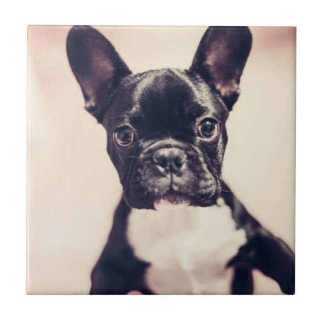 Cute Tiny Black and White Puppy Tile (Front)