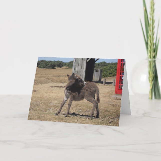 Cute Tiny Donkey Foal Card (Front)