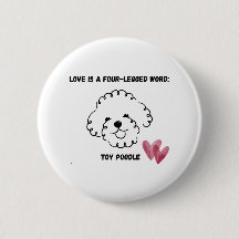 cute toy poodle