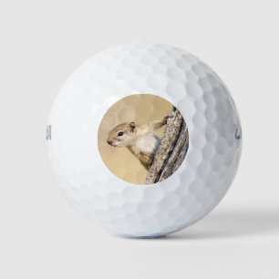 Cute Tree squirrel funny animal photo Golf Balls