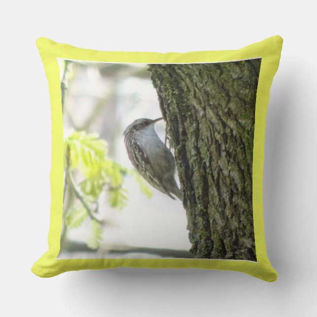 Cute Treecreeper Close Up Throw Pillow (Front)