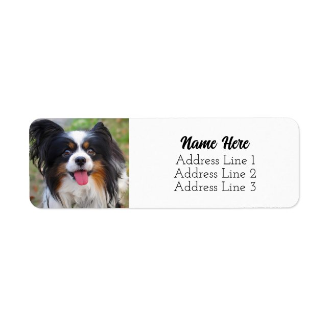Cute Tri Colour Papillon Puppy Dog Return Address (Front)