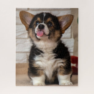 Cute Tri Colour Pembroke Welsh Corgi Puppy Dog Jigsaw Puzzle