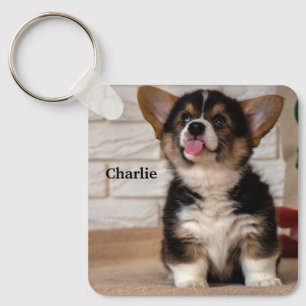 Cute Tri colour Pembroke Welsh Corgi Puppy Dog Key Ring