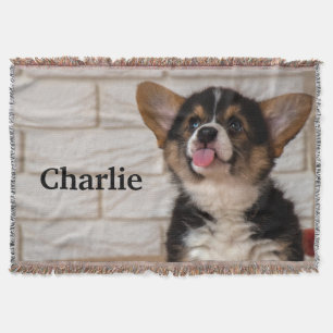 Cute Tri colour Pembroke Welsh Corgi Puppy Dog Throw Blanket