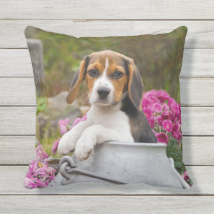 Cute Tricolor Beagle Dog Puppy Churn - for Outside Cushion