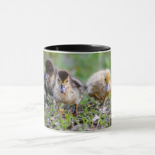 Cute Triplet Muscovy Ducklings Running Mug
