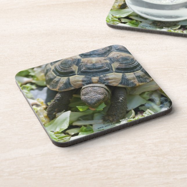Cute Turtle Coaster (Left Side)