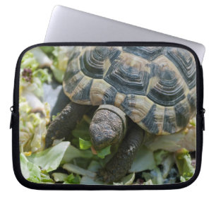 Cute Turtle Laptop Sleeve