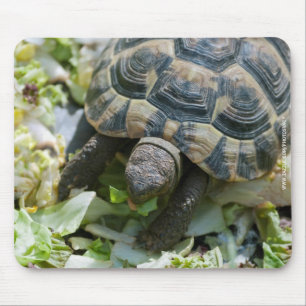 Cute Turtle Mouse Pad