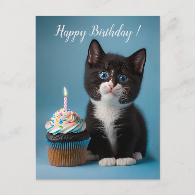 Cute Tuxedo Kitten Has A Birthday Cupcake For You Postcard (Front)