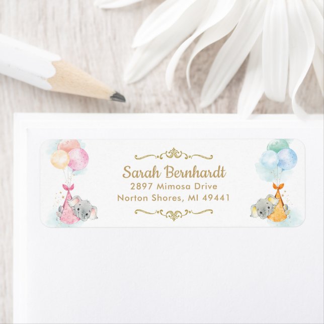 Cute Twins Boy Girl Elephant Baby Shower Address (Insitu)