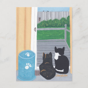 Cute Two Cats Bird Watching Deck Postcards