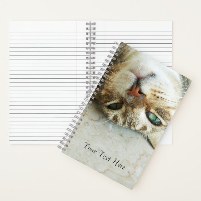 Cute Upside Down Tabby Cat Personalised Notebook (Inside)