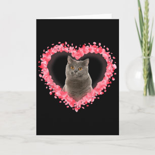 Cute Valentine Cat Heart Gift 2 Cat Lovers Girl Bo Card