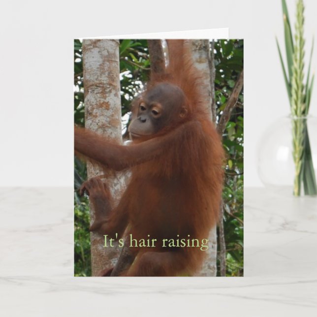 Cute Valentine Hair Raising Wildlife Experience Holiday Card (Front)