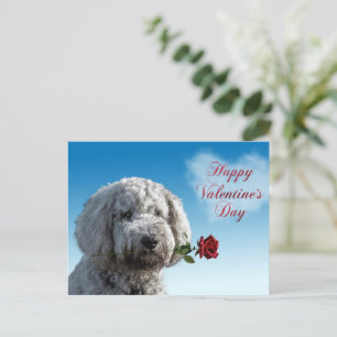 Cute Valentine's Day Doodle Dog Postcard