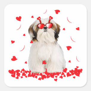 Cute Valentines Day Shih Tzu   Dog Hearts Square Sticker