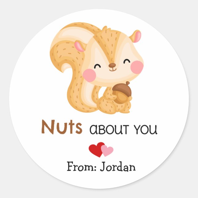 Cute Valentine's Day Squirrel Nuts About You Classic Round Sticker (Front)