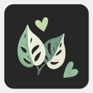 Cute Variegated Monstera Adansonii  Swiss Cheese Square Sticker