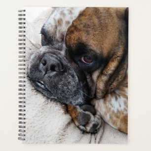 Cute Victorian Bulldog Photo Planner