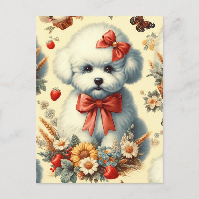 Cute Vintage Bichon Frisé Illustration Postcard (Front)