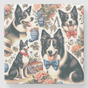 Cute Vintage Border Collie Illustration Stone Coaster