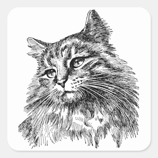 Cute vintage Cat black white Square Sticker (Front)