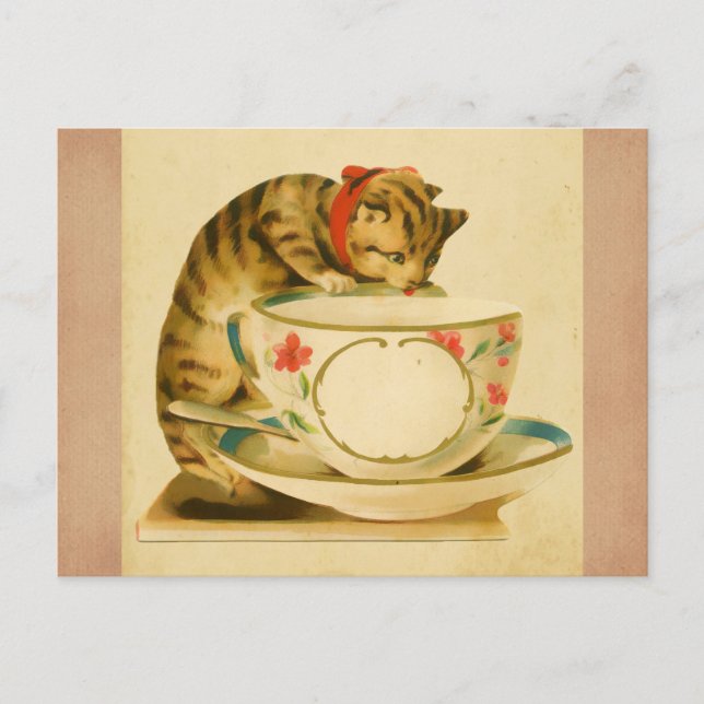 Cute Vintage Cat Teacup Postcard (Front)
