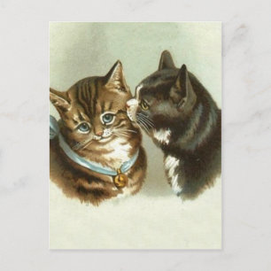 Cute Vintage Cats Postcard