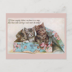 Cute Vintage Cats Victorian Poem Postcard