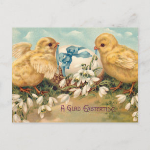 Cute Vintage Chicks and Easter Egg Postcard