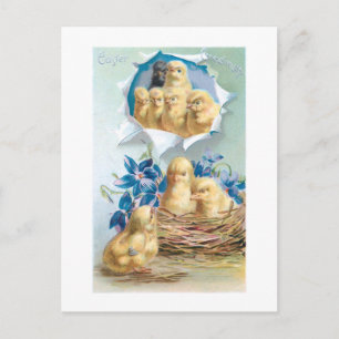 Cute Vintage Chicks, Flowers & Easter Greeting Postcard