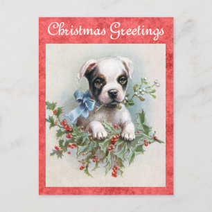 Cute Vintage Dog Christmas Greetings Postcard