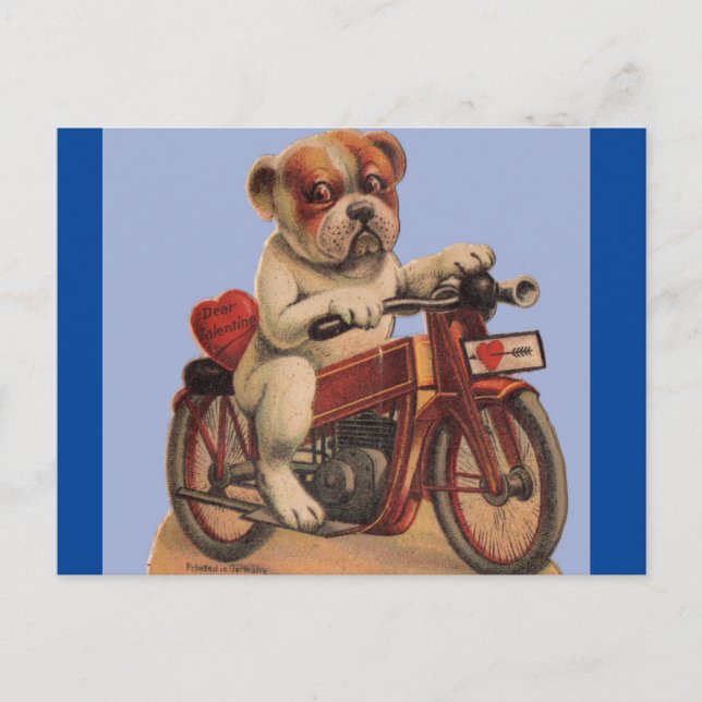 Cute Vintage Dog on Motorbike Valentine Postcard (Front)