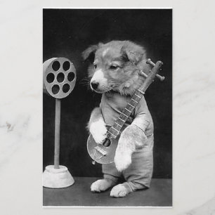 Cute vintage Dog with banjo photo art, black white Stationery