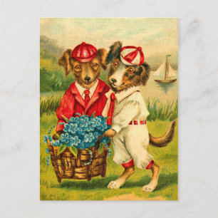 Cute Vintage Dogs Postcard