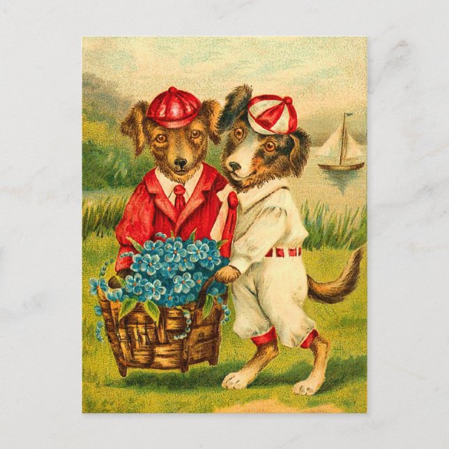 Cute Vintage Dogs Postcard (Front)