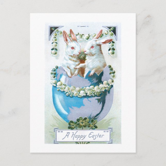 Cute Vintage Easter Bunnies in Egg Postcard (Front)
