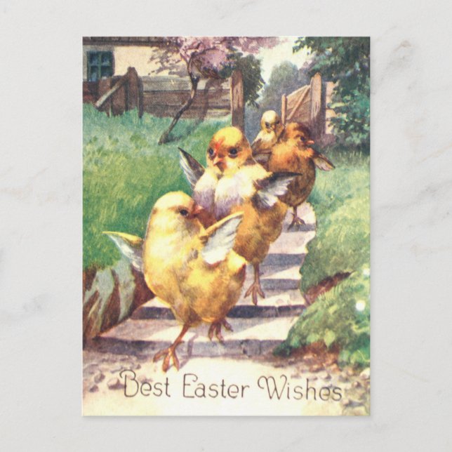 Cute Vintage Easter Chicks Postcard (Front)