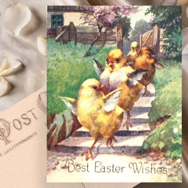 Cute Vintage Easter Chicks Postcard (Creator Uploaded)
