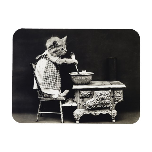 Cute Vintage Funny Kitten Baking and Cooking Magnet (Horizontal)